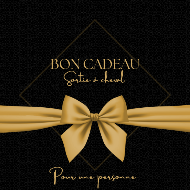 BON CADEAU À OFFRIR • Pour 1 Personne • Cavalier Confirmé