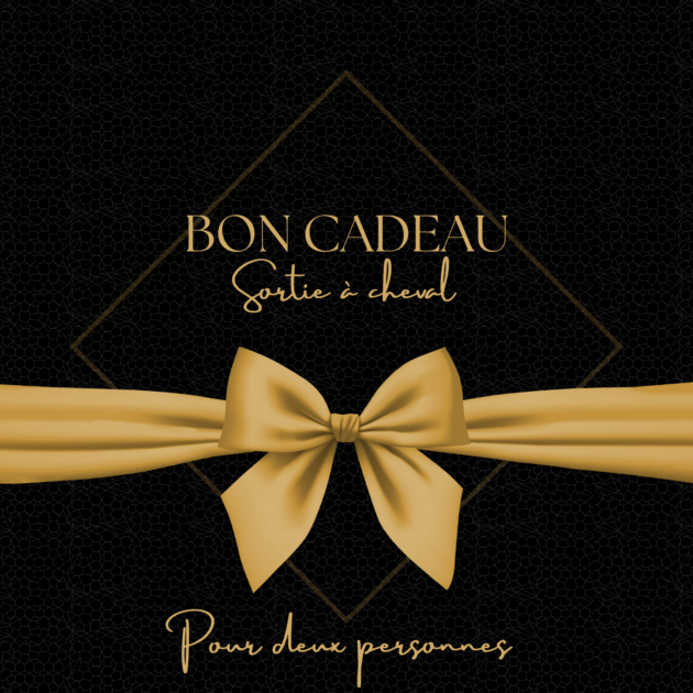 BON CADEAU À OFFRIR • POUR 2 PERSONNES • Cavalier confirmé