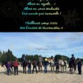 BONNE ANNEE 2026